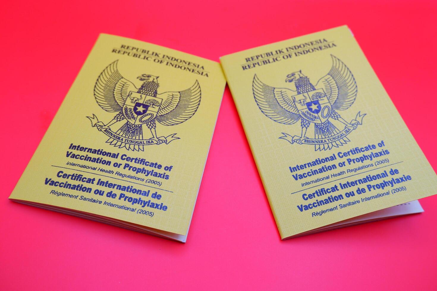 international certificate of vaccination or prophylaxis isolated on red background. yellow book as a sign of vaccination. 2 yellow books of vaccines from Indonesia photo
