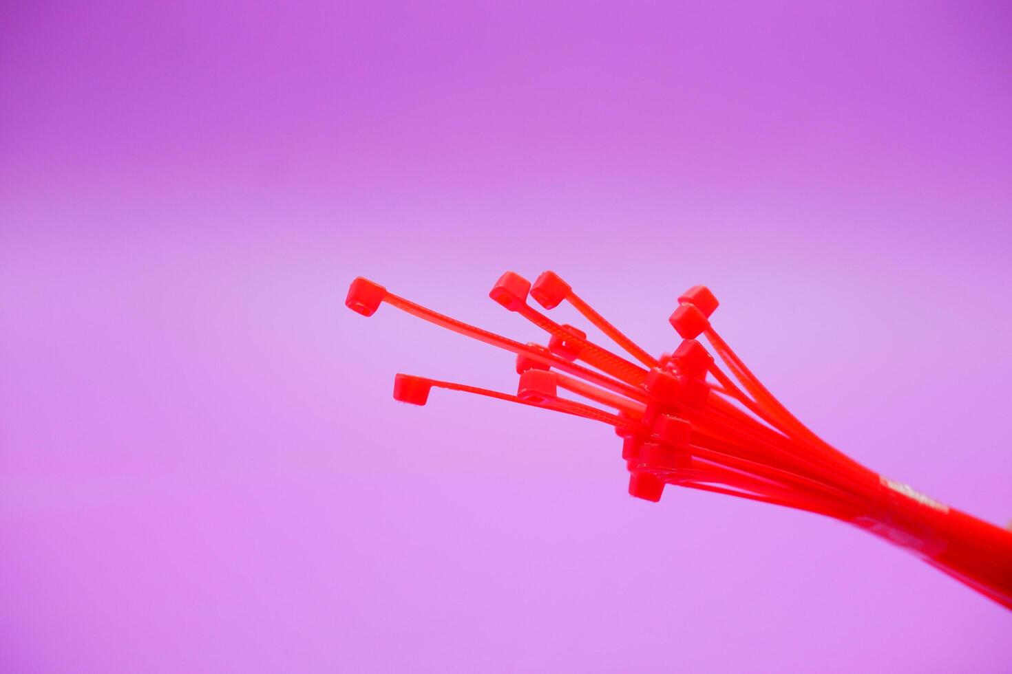 bundle of red zip ties isolated on purple background. Cable ties or cable ties, straps that can be used for various purposes. photo