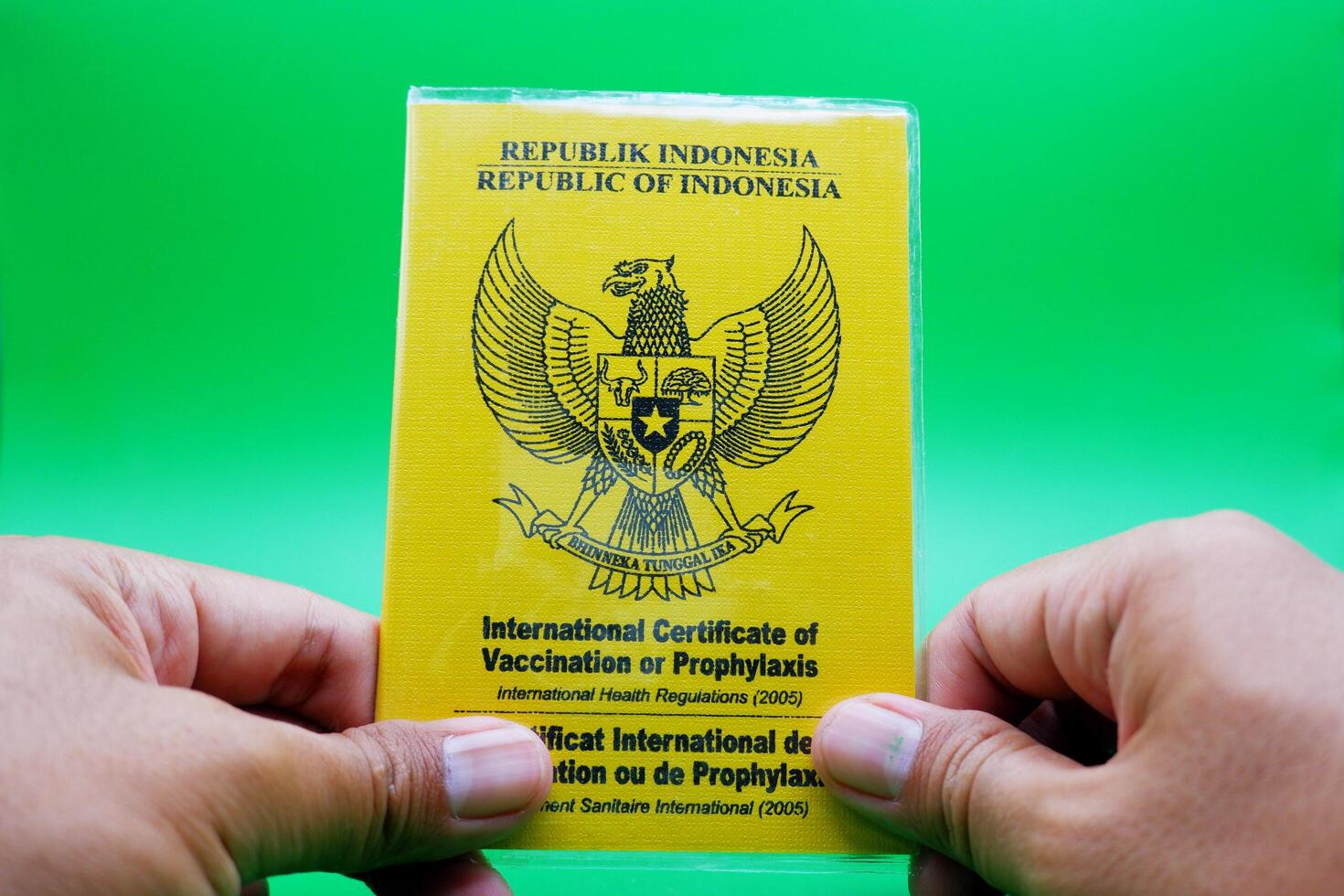 hand holding international certificate of vaccination or prophylaxis isolated on green background. yellow book as a sign of vaccination photo