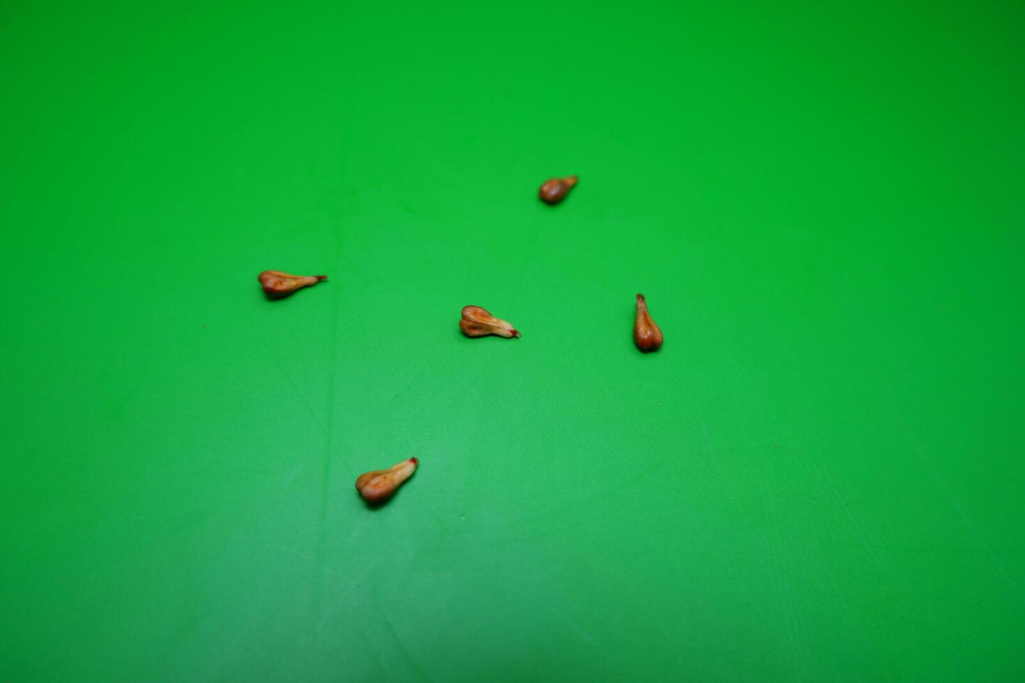 5 seeds of grapes isolated on green background photo