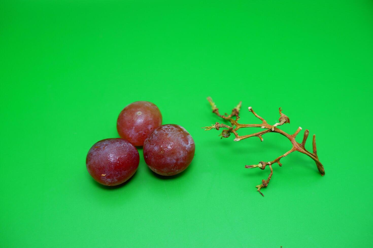 3 grapes and their branches isolated on green background. Fresh purple grapes. photo