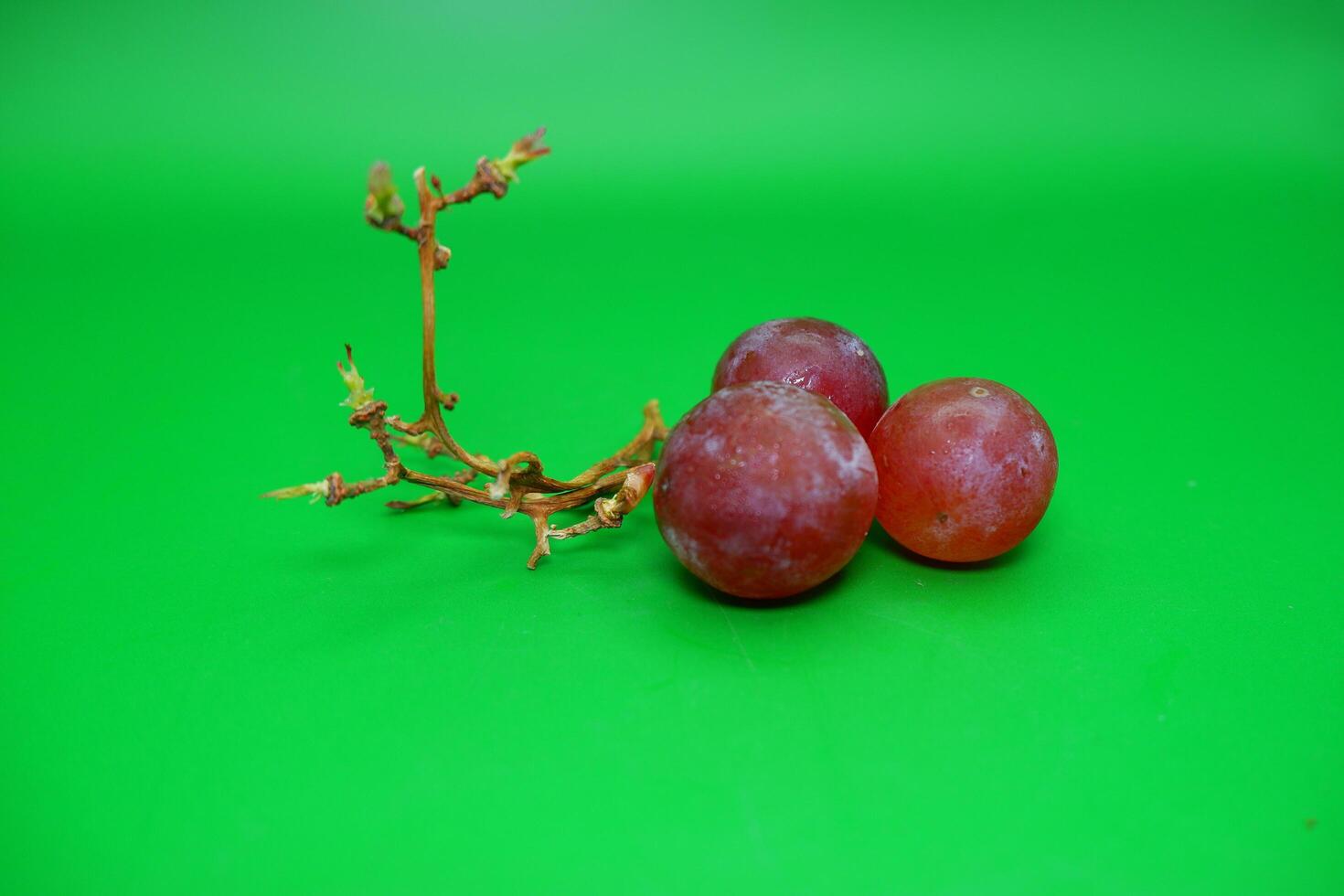 3 grapes and their branches isolated on green background. Fresh purple grapes. photo