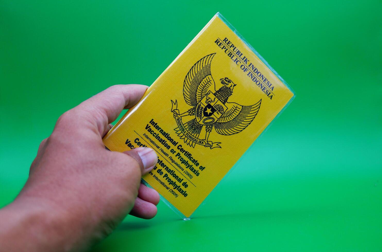 hand holding international certificate of vaccination or prophylaxis isolated on green background. yellow book as a sign of vaccination photo