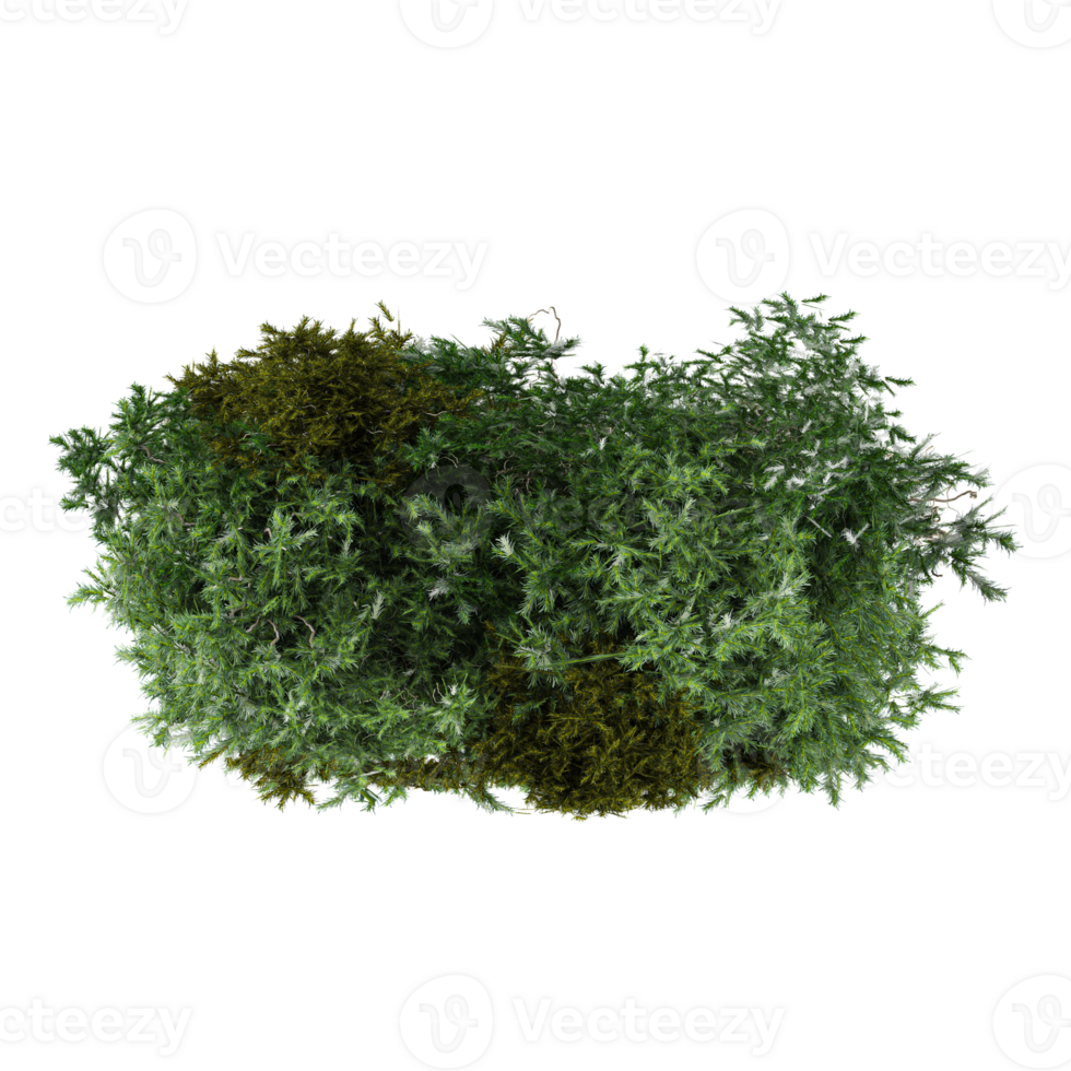 Isolated Artificial Grass Wall with red flowers on transparent canvas from the top view png