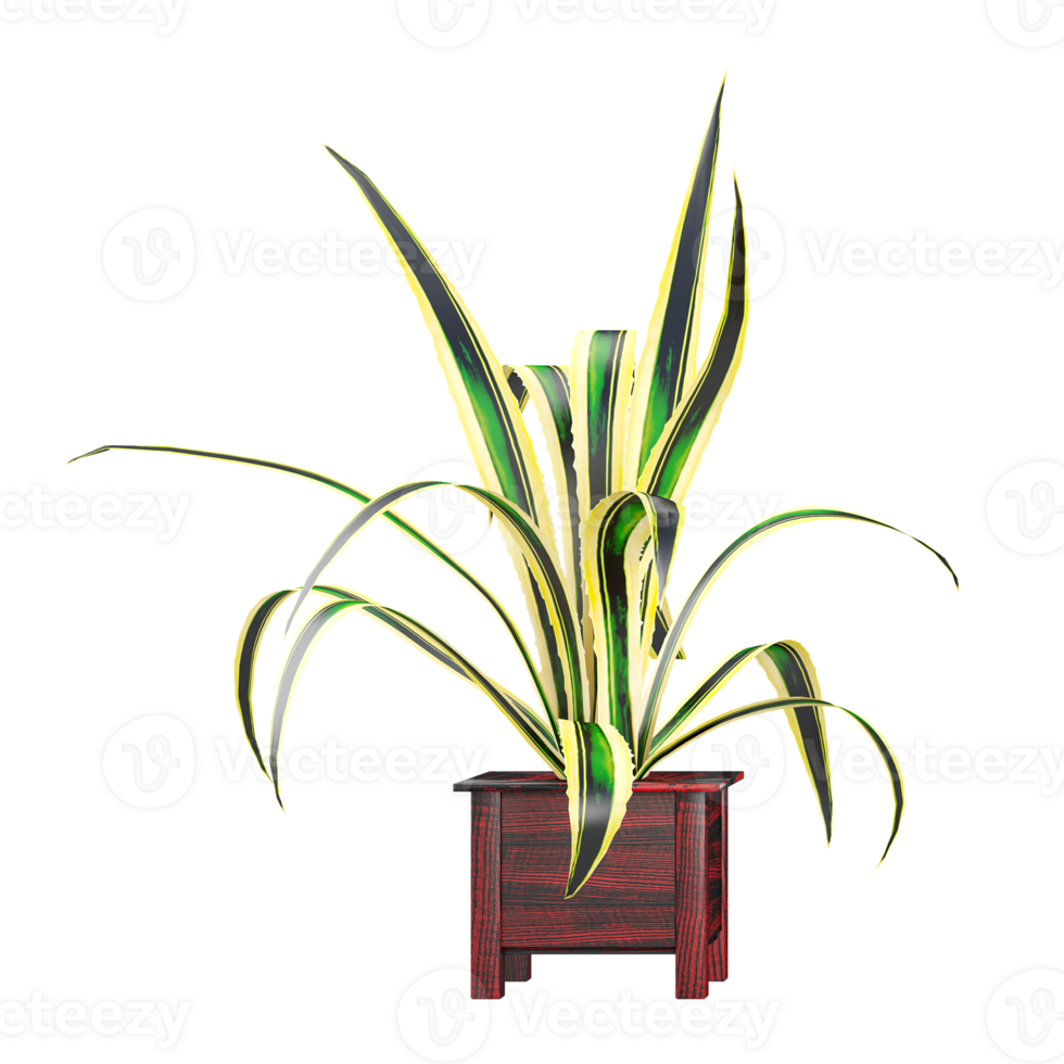 3d Rendering Of Chlorophytum comosum plant on Transparent Canvas png