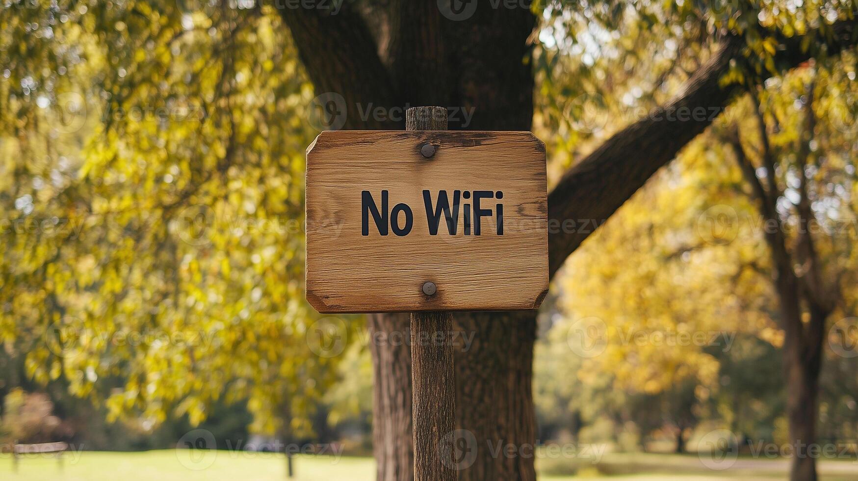 No WiFi wooden sign positioned in a serene park, surrounded by trees with warm nature and golden sunlight. No WiFi zone. photo