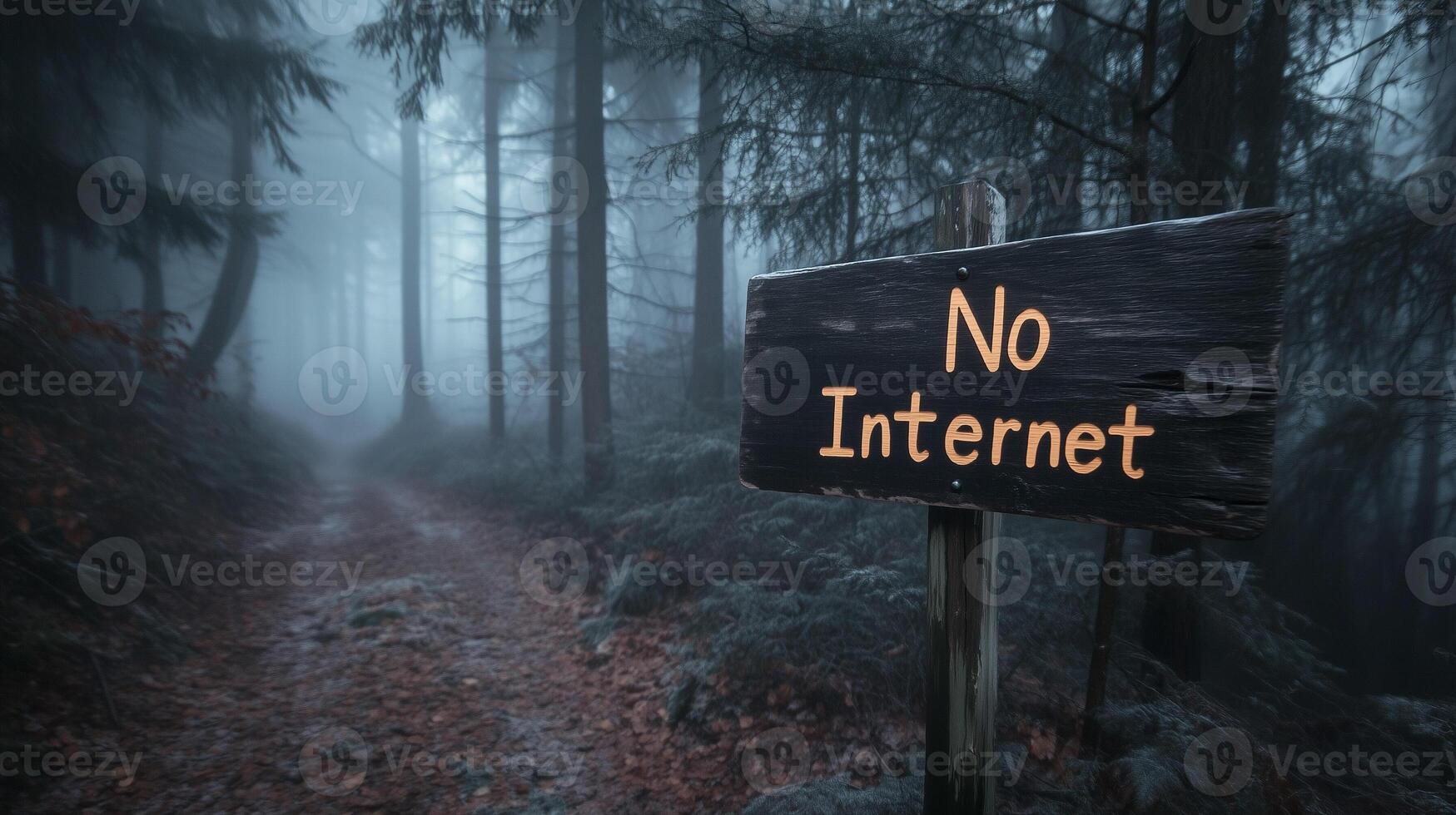 No Internet sign written in the woods in the middle of deep forest path. No internet signal warning, wilderness. photo