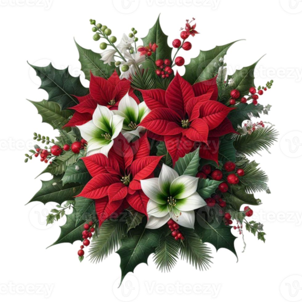 A bouquet of poinsettia flowers and holly leaves png