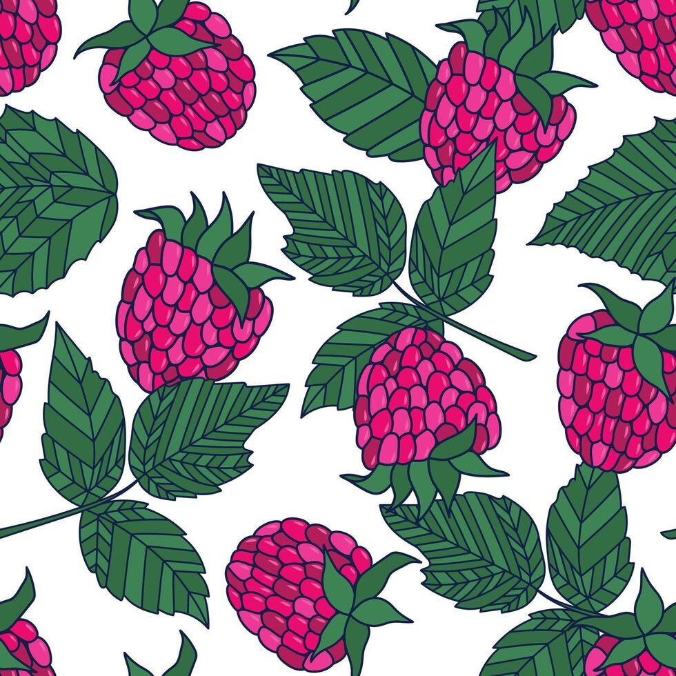 cute seamless pattern of hand-drawn raspberry berries. illustration on white background. vector