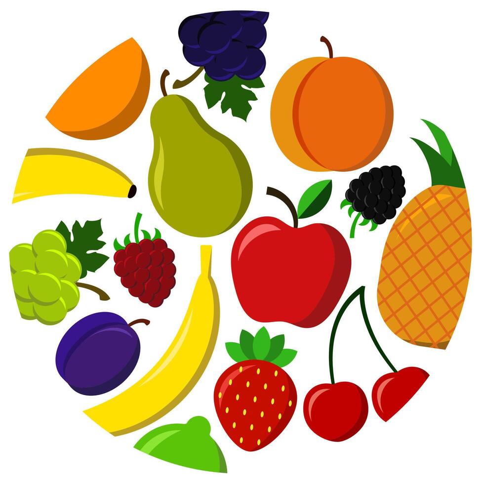 fruit circle fresh decorative background vector