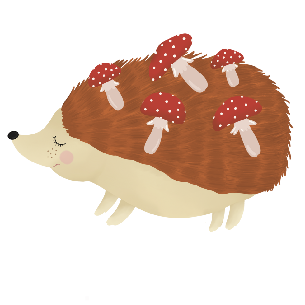 Igel Tier Pilze 51591815 PNG