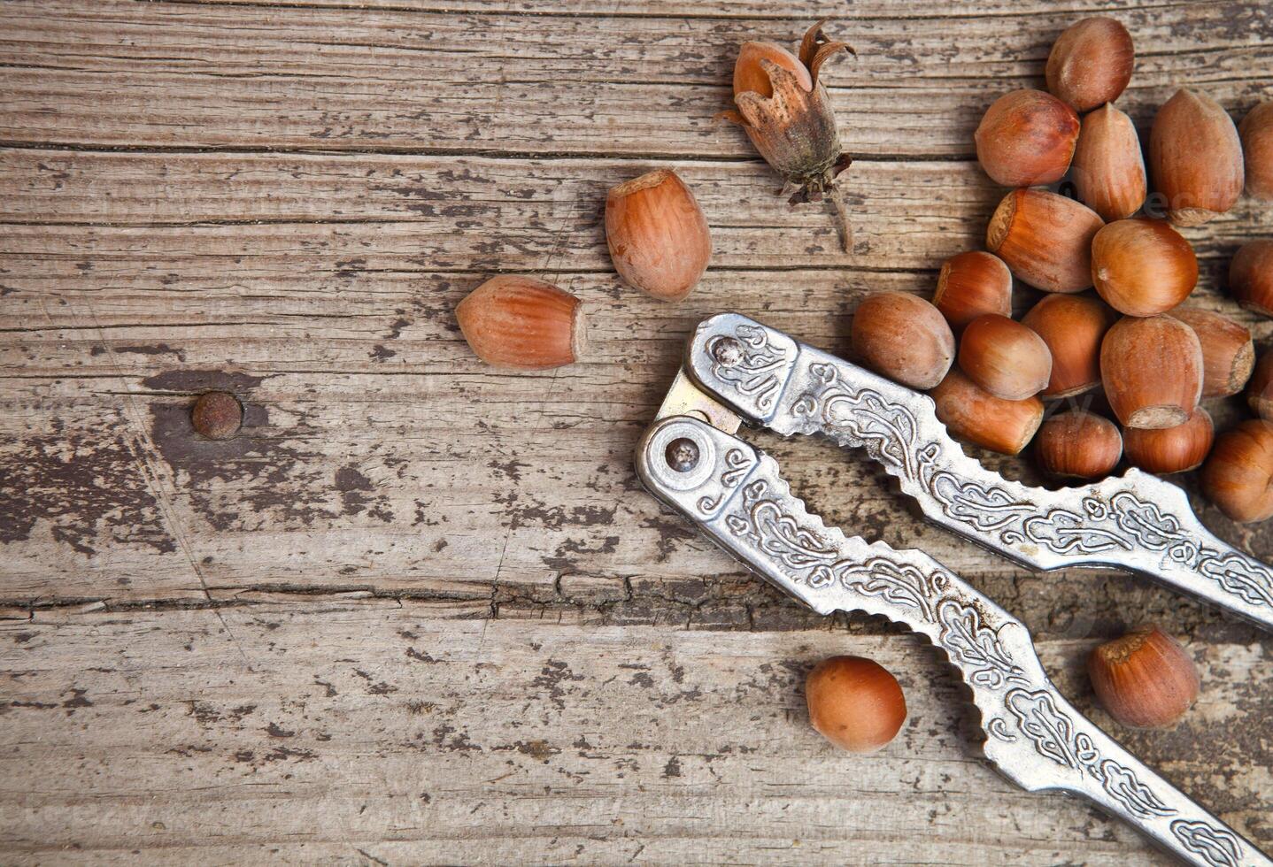 Hazelnuts and nutcracker photo