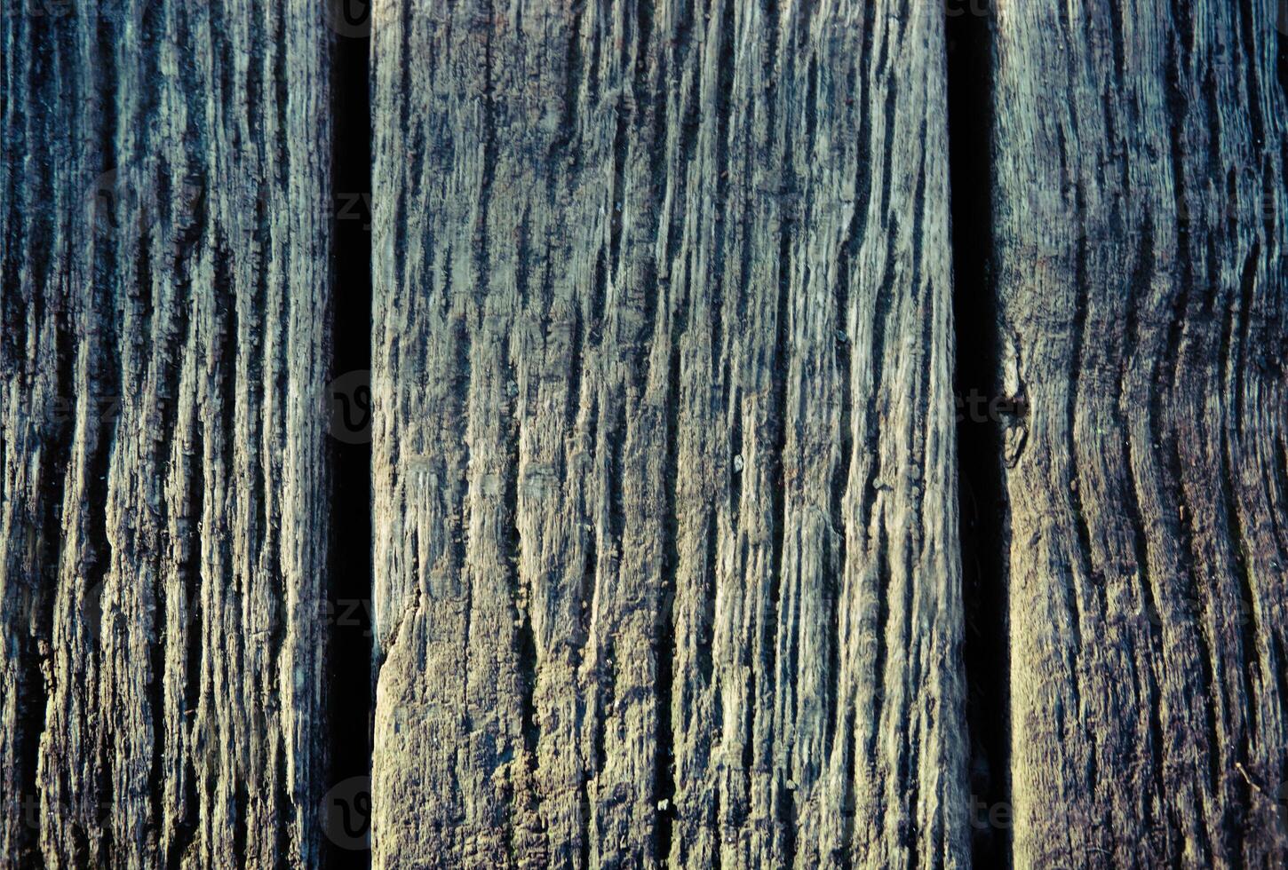 Old natural wood texture background photo
