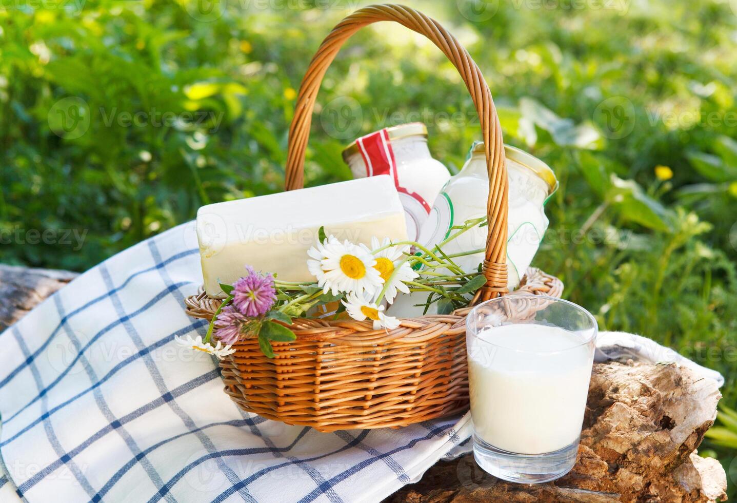 Different milk products. Cheese, cream, milk photo