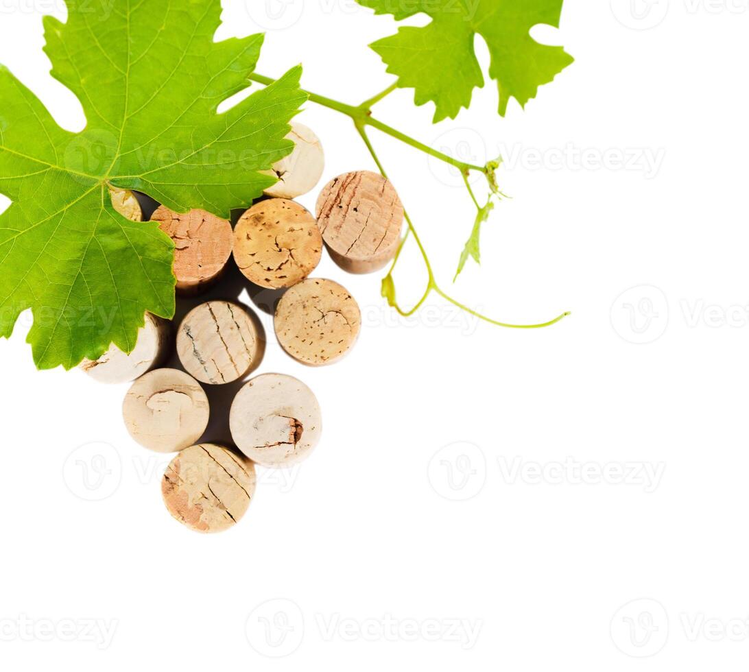 Dated wine bottle corks isolated on the white photo