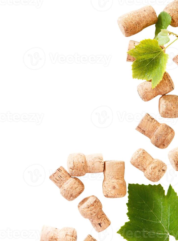 Dated wine bottle corks on the white background photo