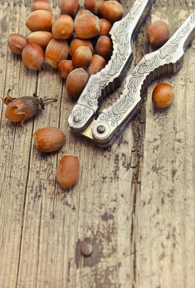 Hazelnuts on old wooden table. Close up photo