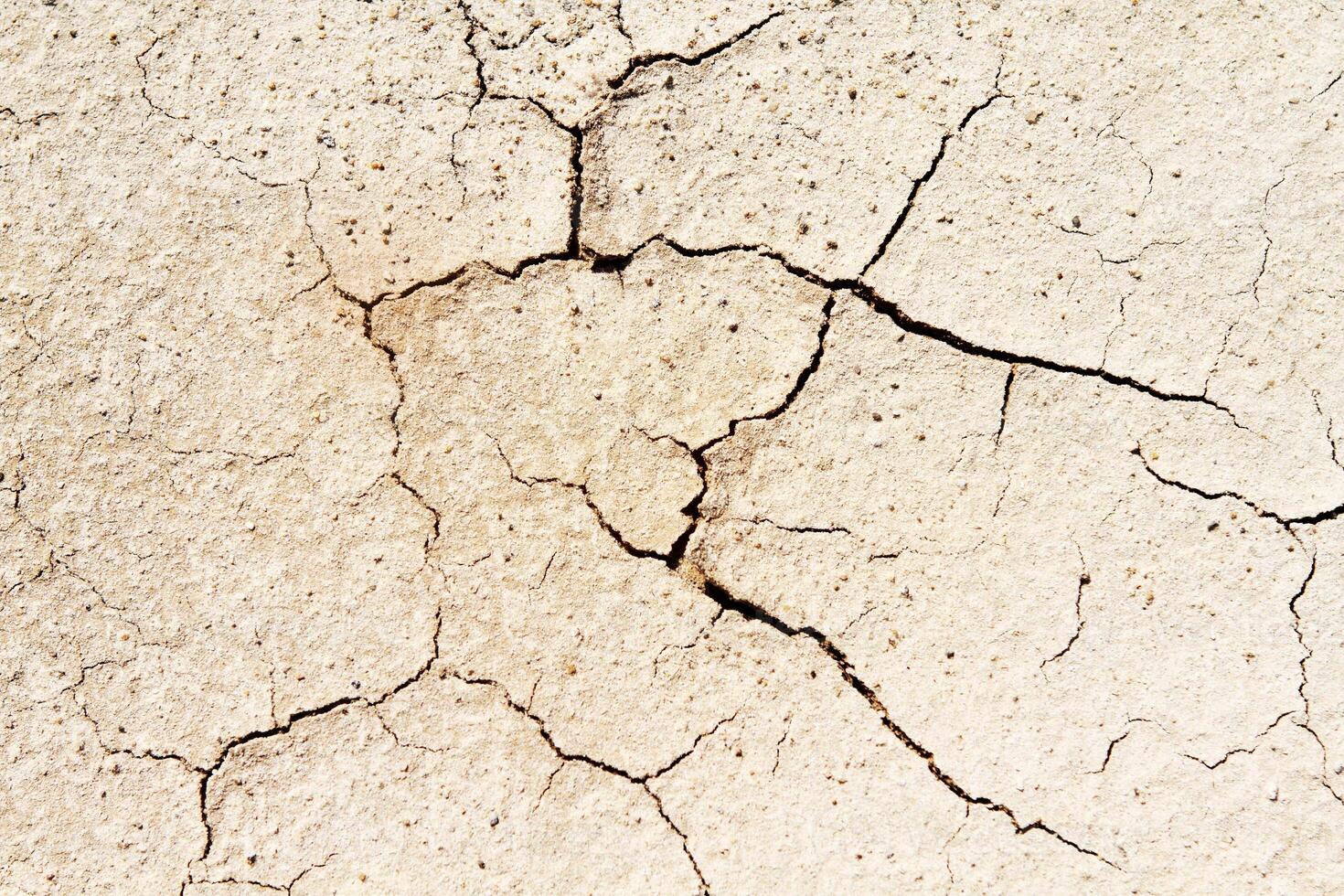 Dry sand texture photo