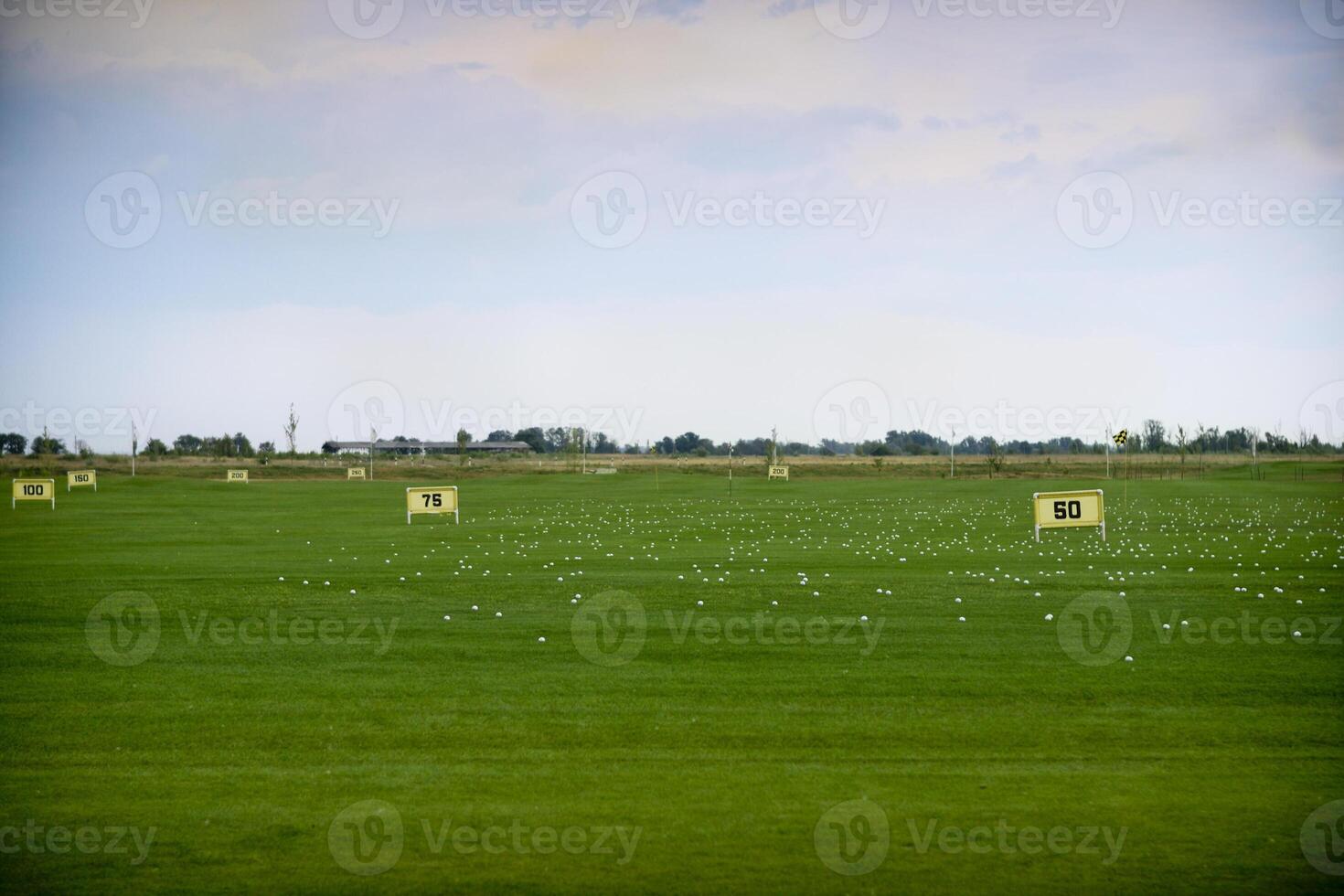 a green field with a few yellow and white flags photo