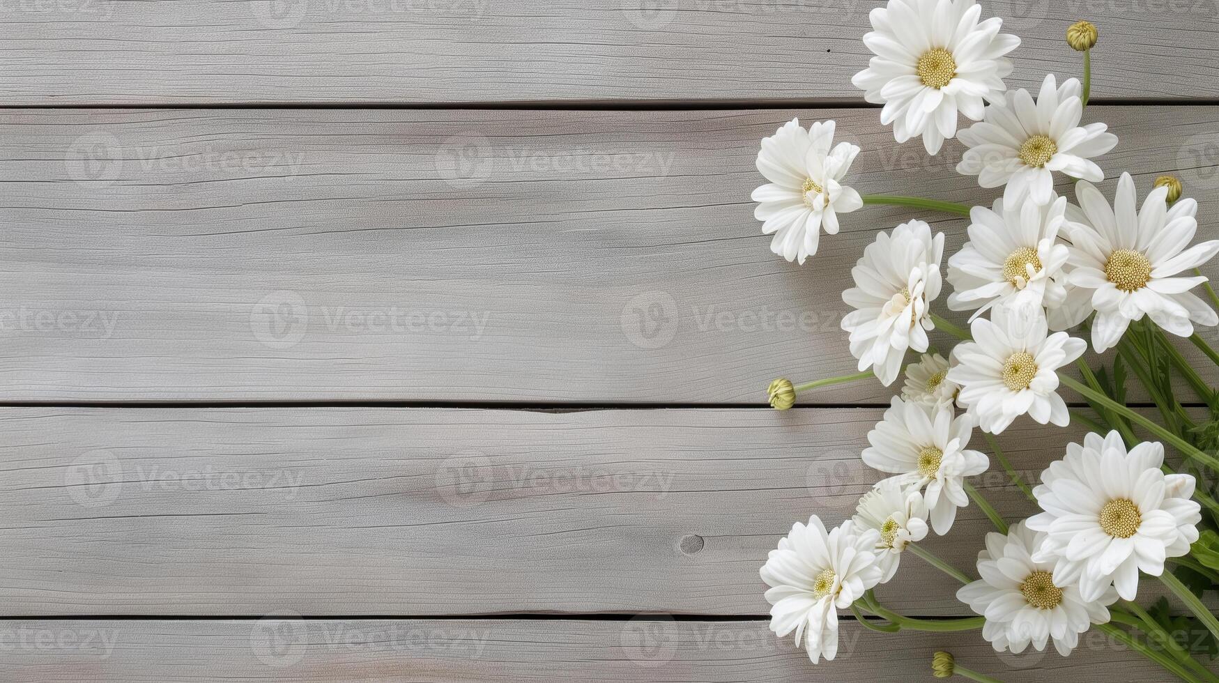 Fresh chamomiles bunch on rustic table banner background copy space. Windflowers bouquet frame image backdrop empty. Minimal festive decoration concept composition top view, copyspace photo