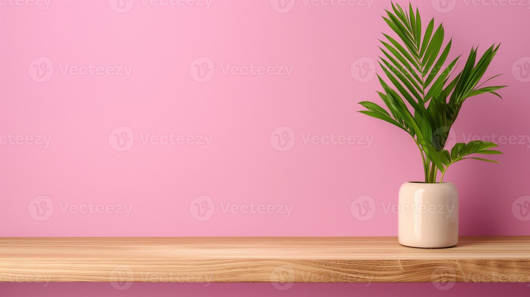 Wooden shelf with palm by pink wall banner background copy space. Podium for product with houseplant image backdrop empty. Minimalist design concept composition front view, copyspace photo