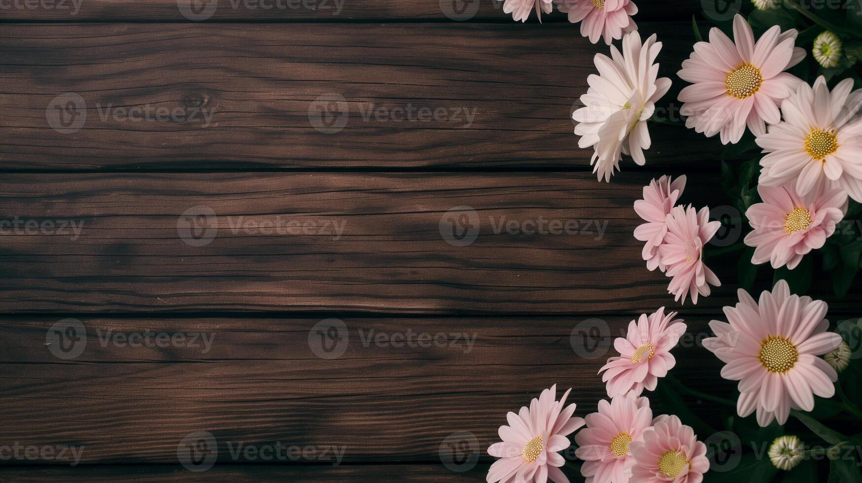 Pink daisies frame on rustic table banner background copy space. Fresh flowers ornament on wooden desk image backdrop empty. Floral design concept composition top view, copyspace photo
