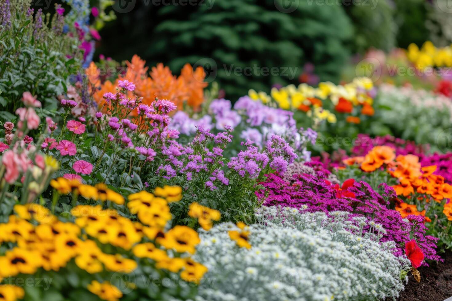 Colorful flower garden blooming in springtime with various vibrant blossoms and greenery photo