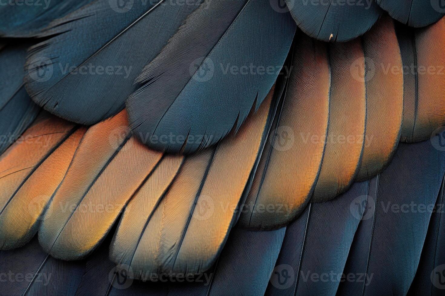 Vibrant close-up of bird feathers showcasing intricate colors and textures in natural light photo