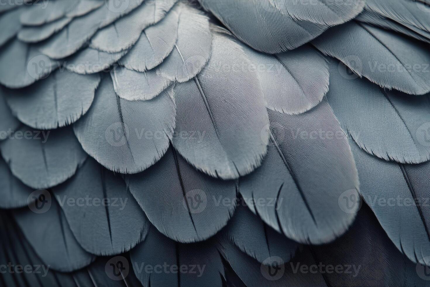 Close-up view of delicate blue feathers showcasing intricate texture and pattern details photo