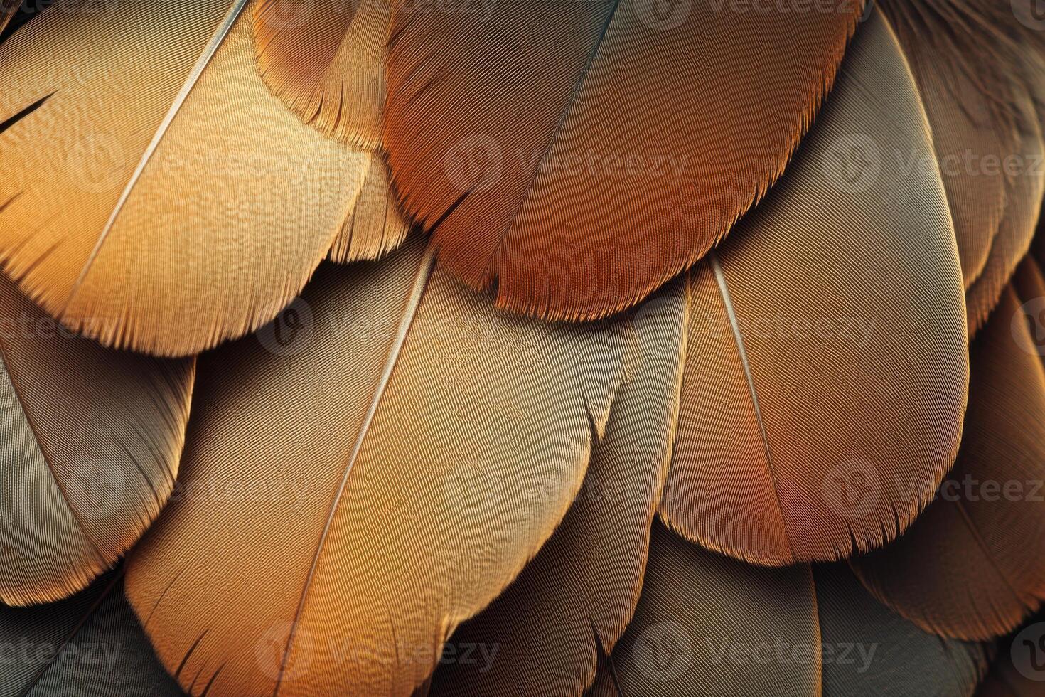 Detailed close-up of colorful bird feathers showcasing intricate textures and patterns photo