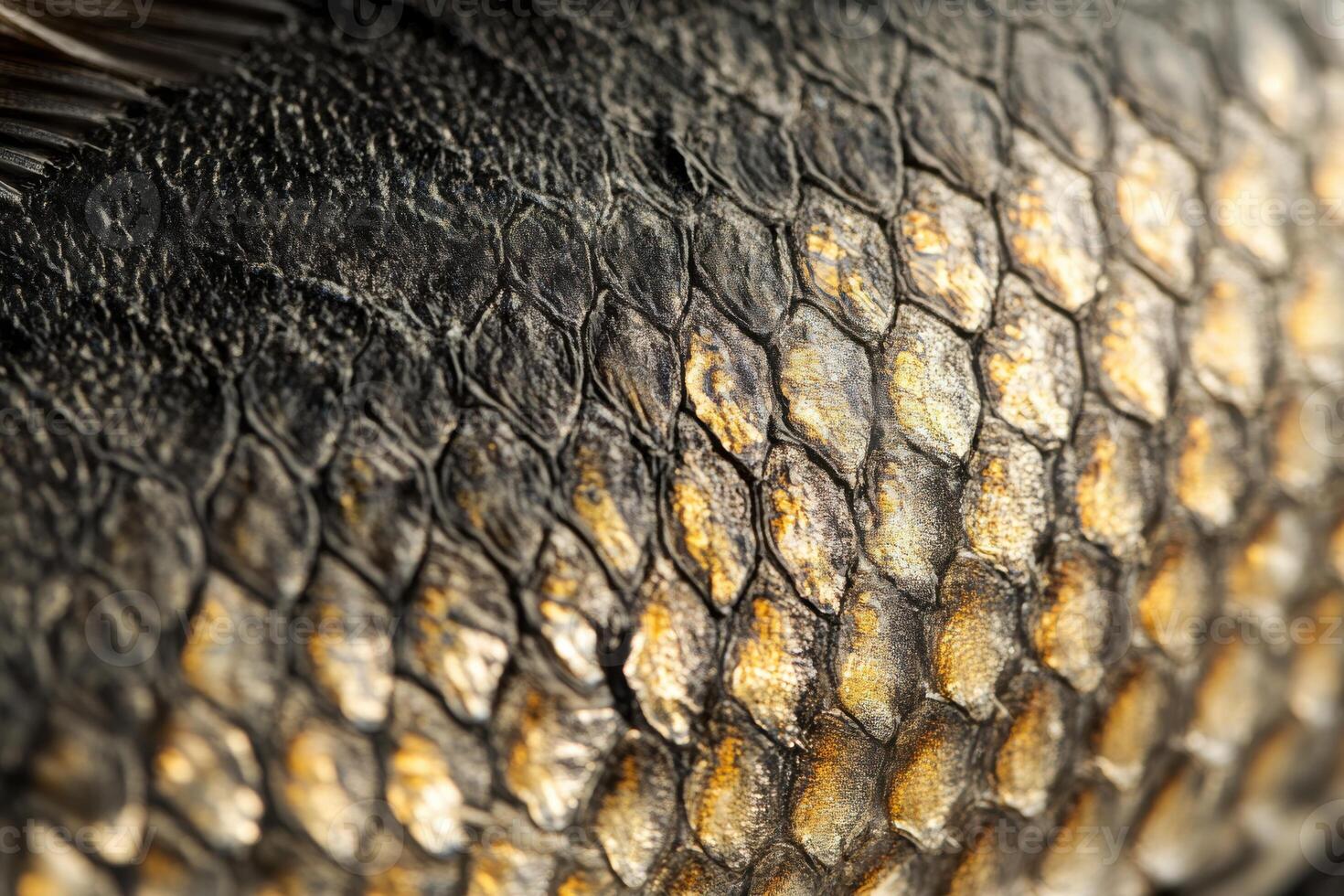 Detailed view of fish scales showcasing texture and color under natural lighting photo