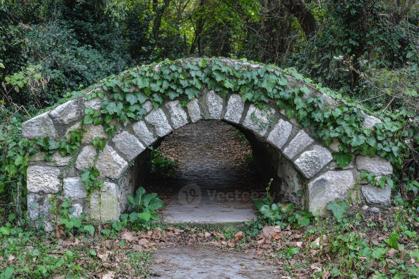 A charming stone bridge covered with lush ivy in a tranquil woodland setting during autumn photo
