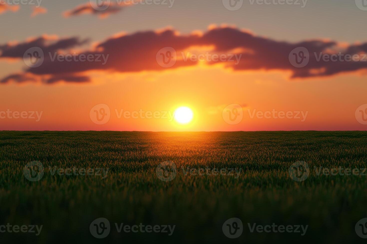 Golden sunset over a serene green field with clouds in the sky during dusk photo