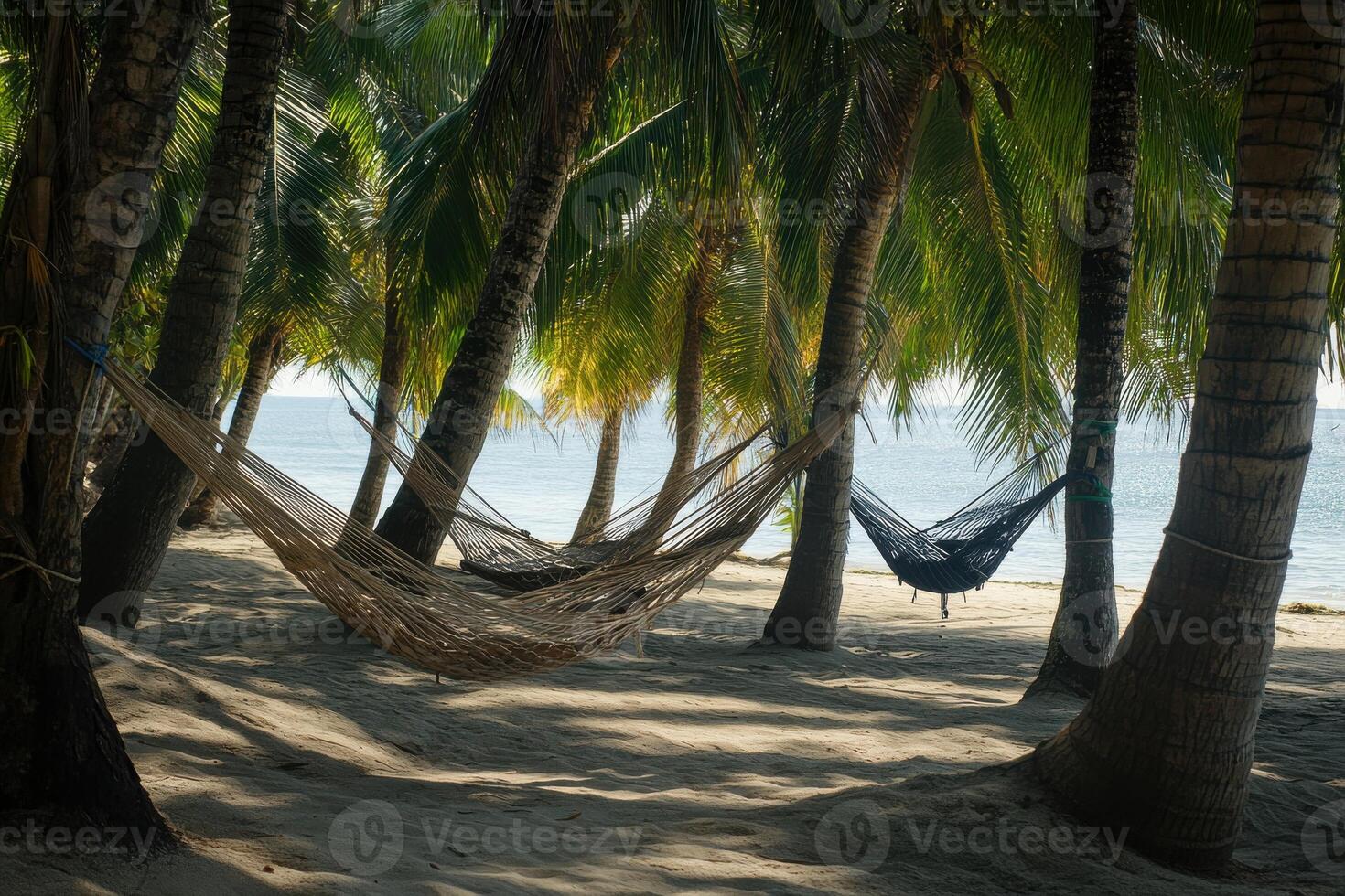 Relaxing hammocks under palm trees along a sunny beach in tranquil coastal paradise photo