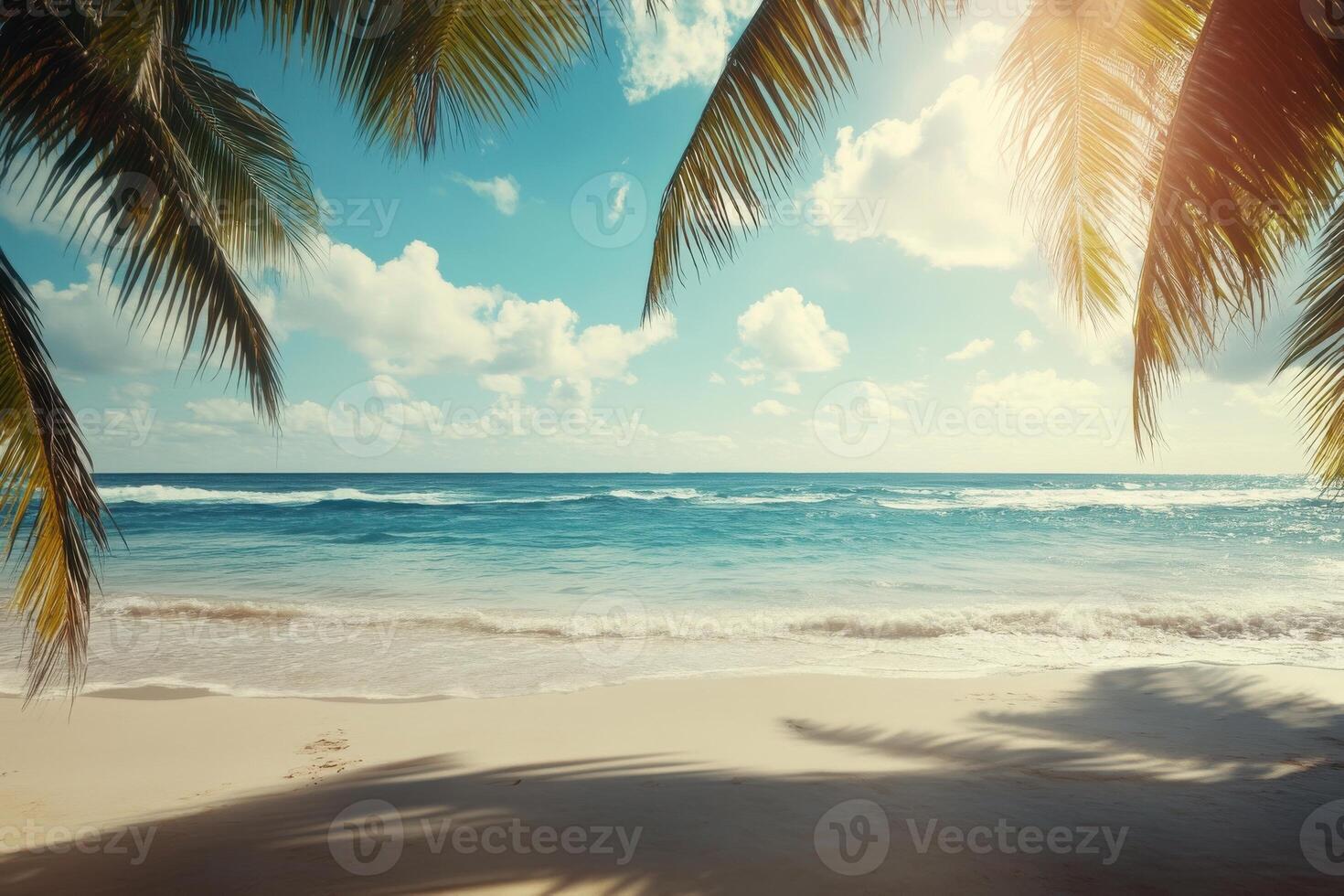 Tranquil tropical beach with palm trees and gentle waves under a bright sky at midday photo