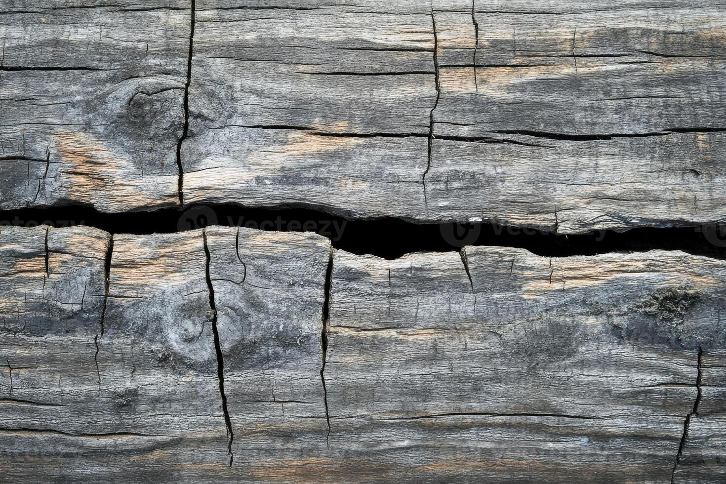 Close-up of weathered wood with deep cracks showing texture and natural aging characteristics photo