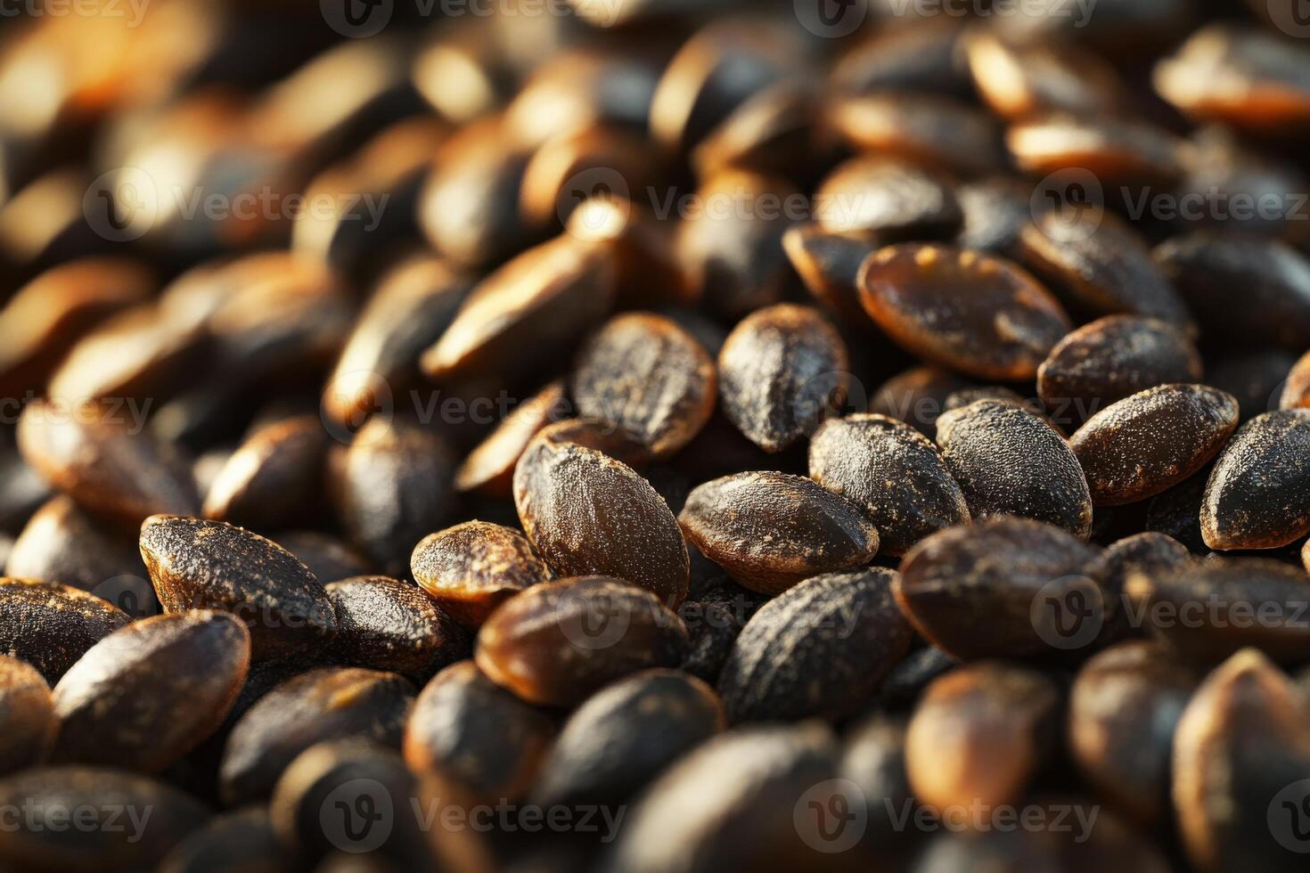 Close-up view of various pumpkin seeds on a textured surface during late afternoon light photo
