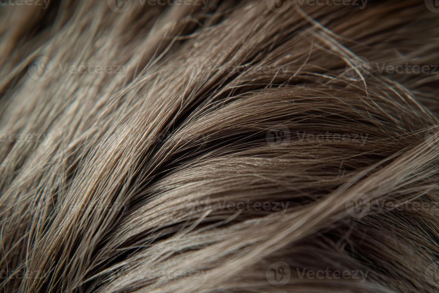 Close-up view of intricately styled brown hair showcasing texture and natural shine photo