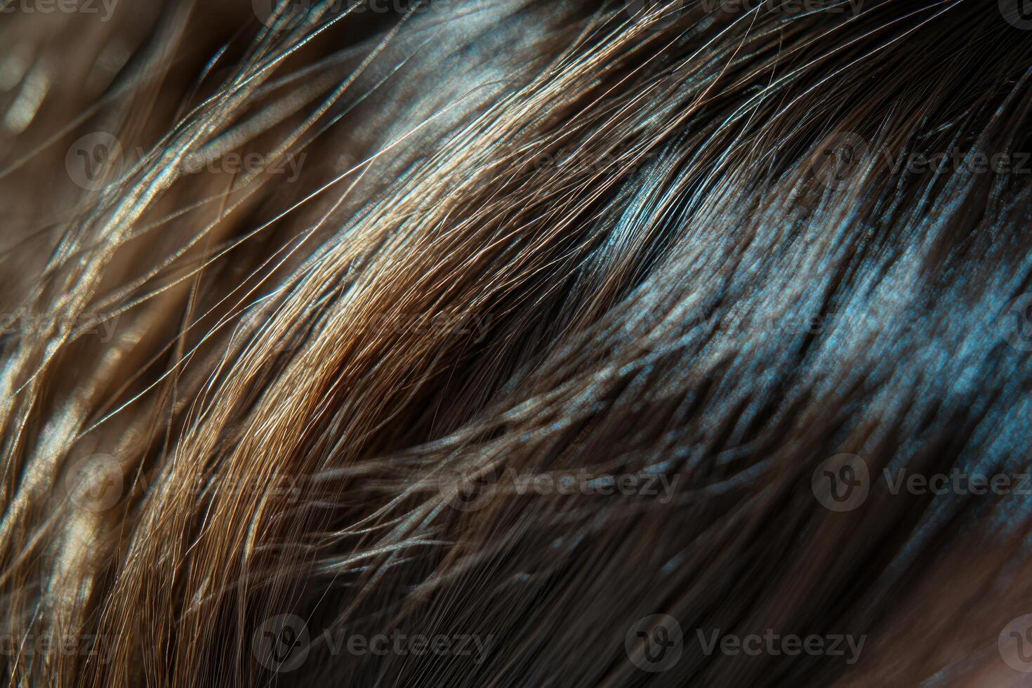 Close-up view of shiny hair texture illuminated by natural light in a domestic setting photo