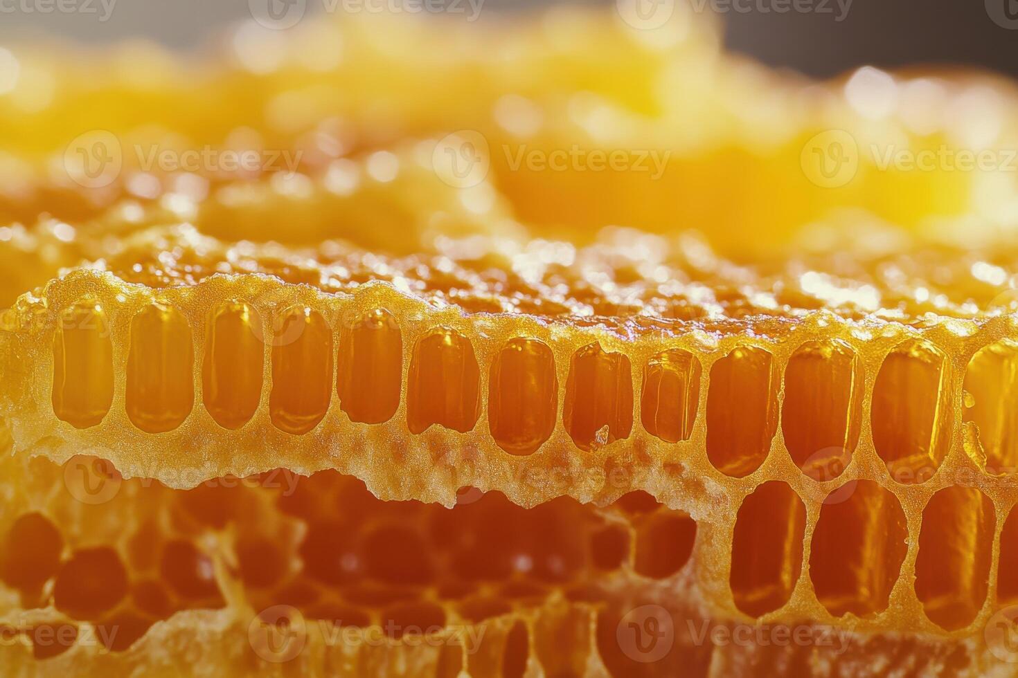 Close-up view of honeycomb highlighting the intricate structure and golden hue of honey photo