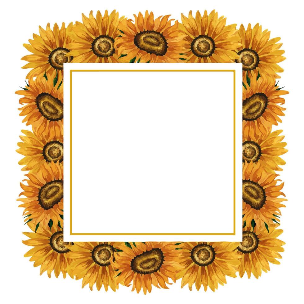 Watercolor sunflowers frame. Square frame with yellow flowers. Summer floral composition. Autumn flowers arrangement. Hand drawn botanical illustration. Design element for postcards, invitations vector