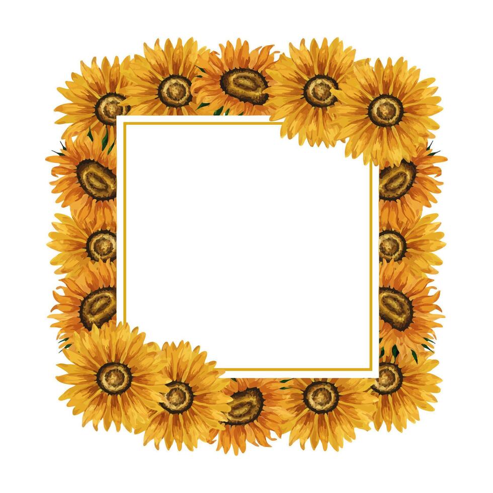 Watercolor sunflowers square frame with yellow flowers. Summer floral composition. Autumn flowers arrangement. Hand drawn botanical illustration. Design element for postcard, invitation, logo. vector