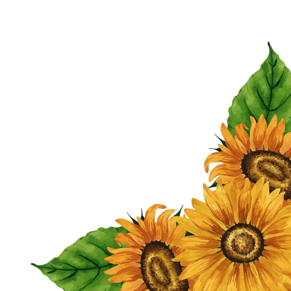 Watercolor sunflower corner frame. Square frame with yellow flowers. Summer floral composition. Autumn flowers arrangement. Hand drawn botanical illustration. Design element for postcard, invitation. vector