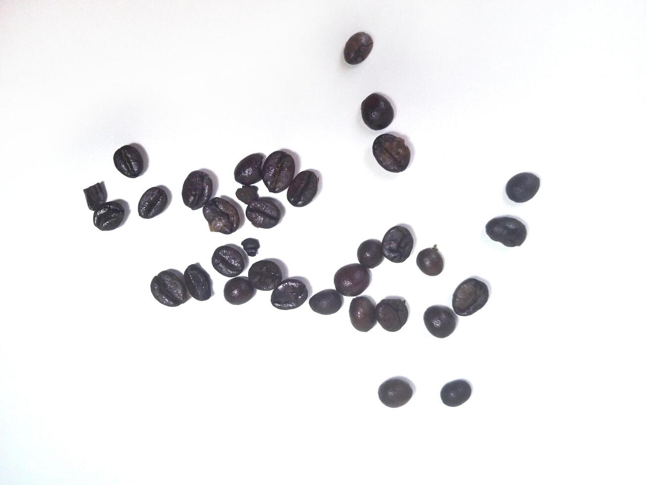 Roasted coffee bean isolated on white background with copy space photo