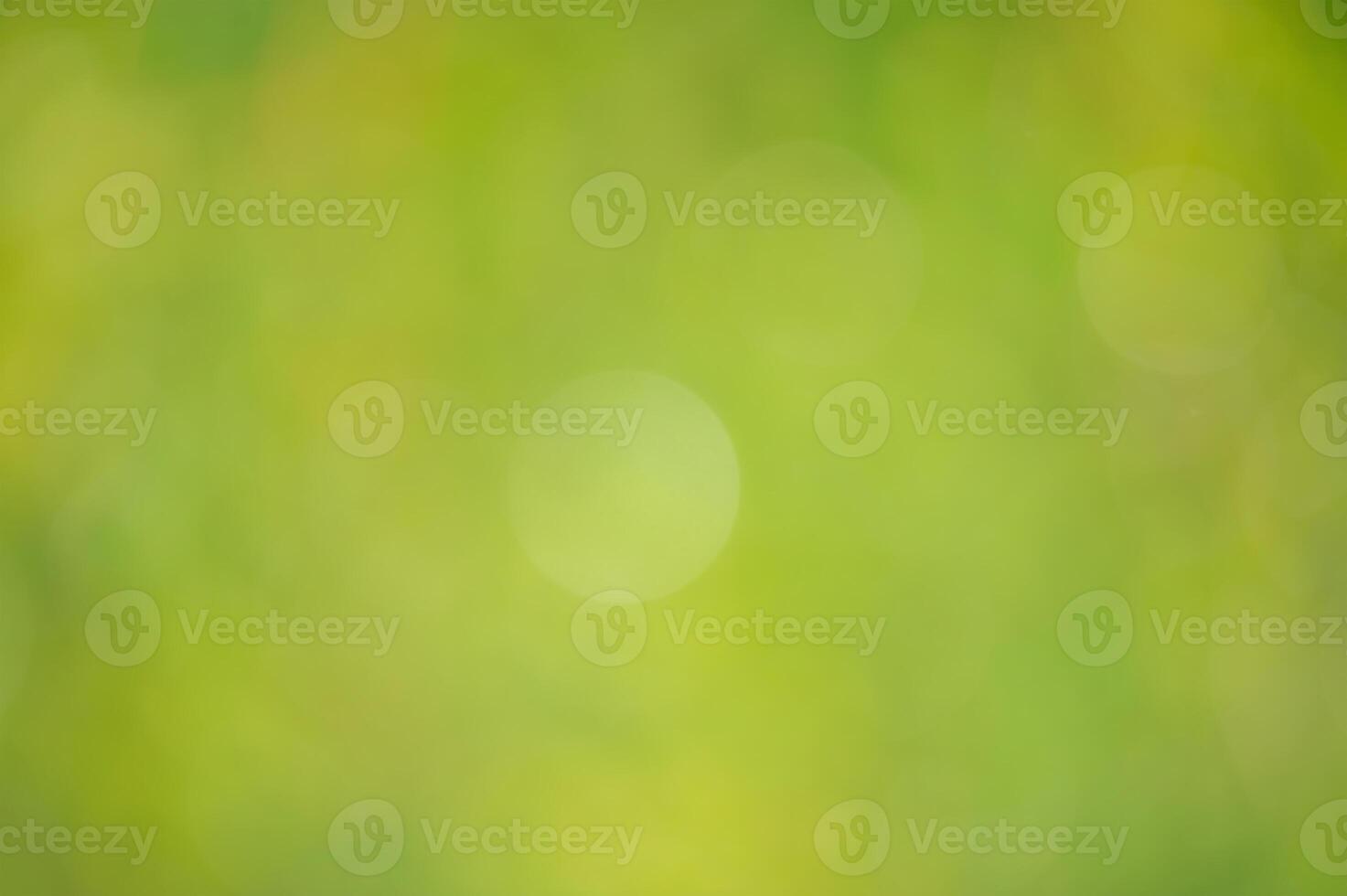 Abstract blurred green nature background. photo