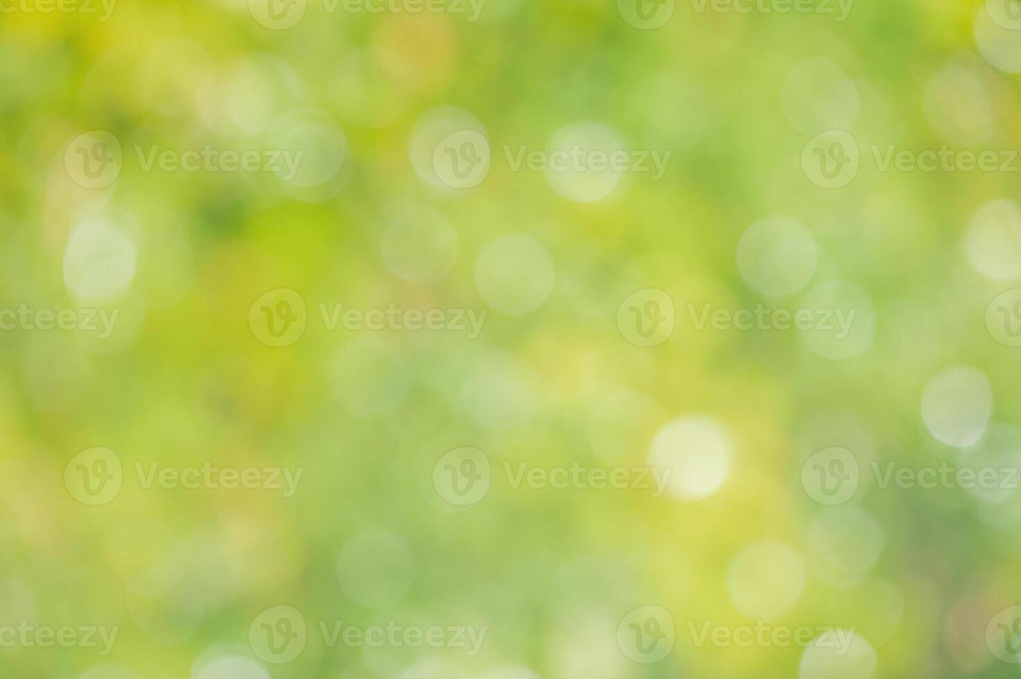 Natural natural green background defocus light. Bokeh green and yellow. photo