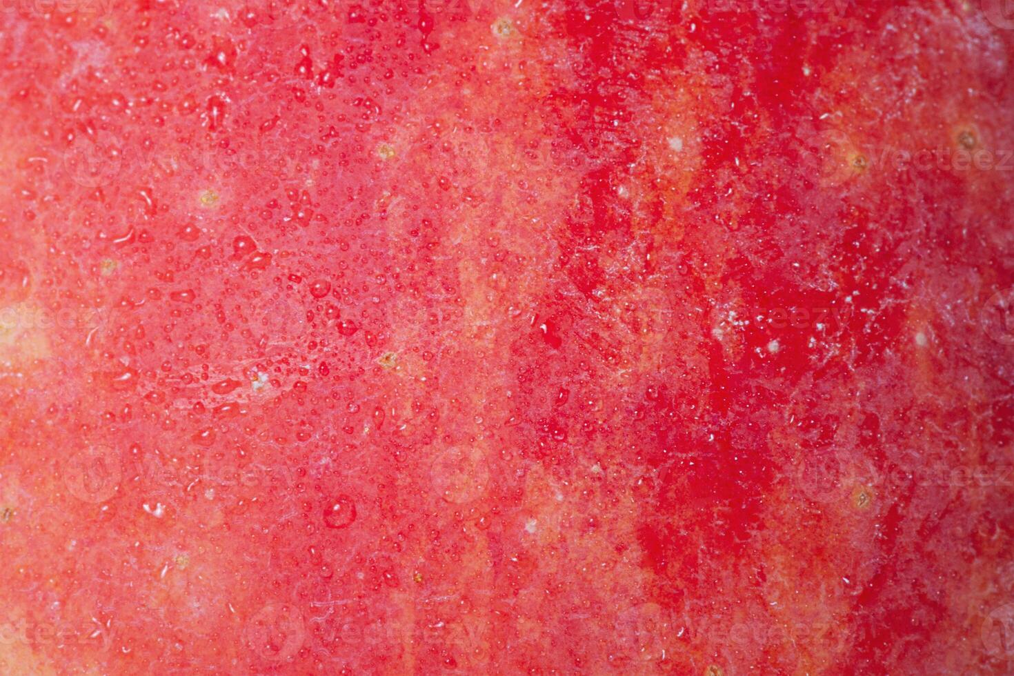 Texture of a red apple with water drops as background macro photography. photo