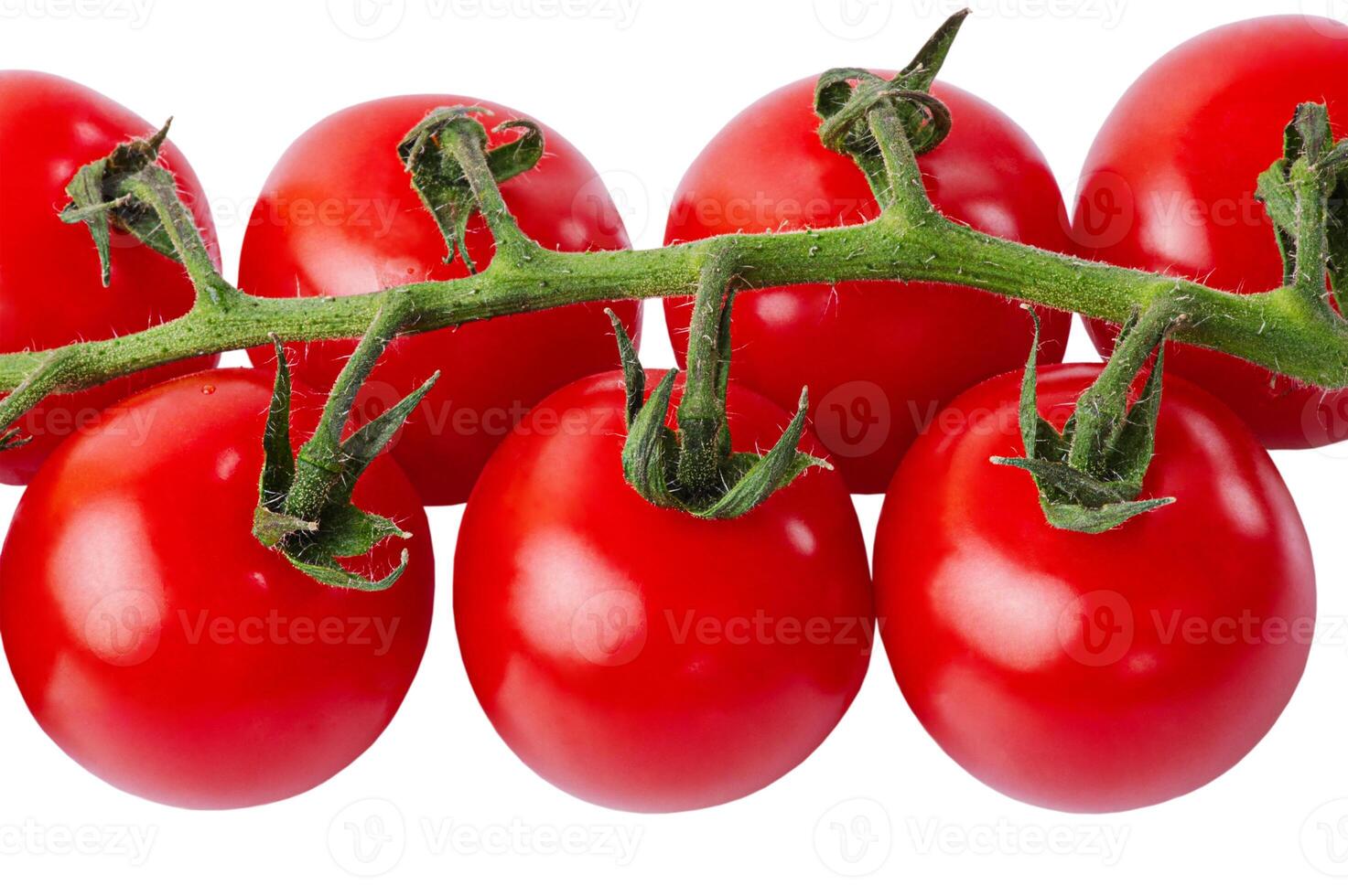 Red ripe cherry tomatoes on a branch isolated on white. photo