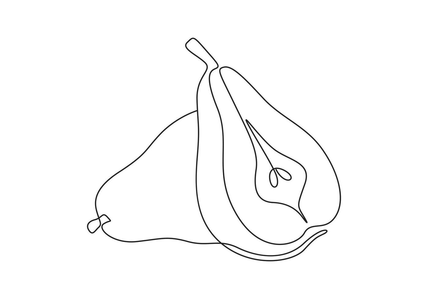 Pear continuous line outline. Single line drawing digital illustration vector
