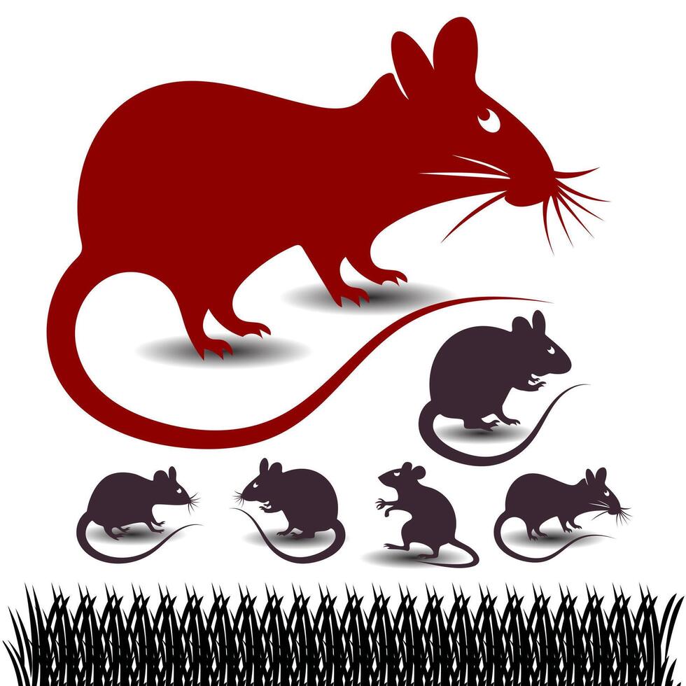 Rat Silhouette Art Ideal for T shirt Designs, Stickers and Digital Use vector